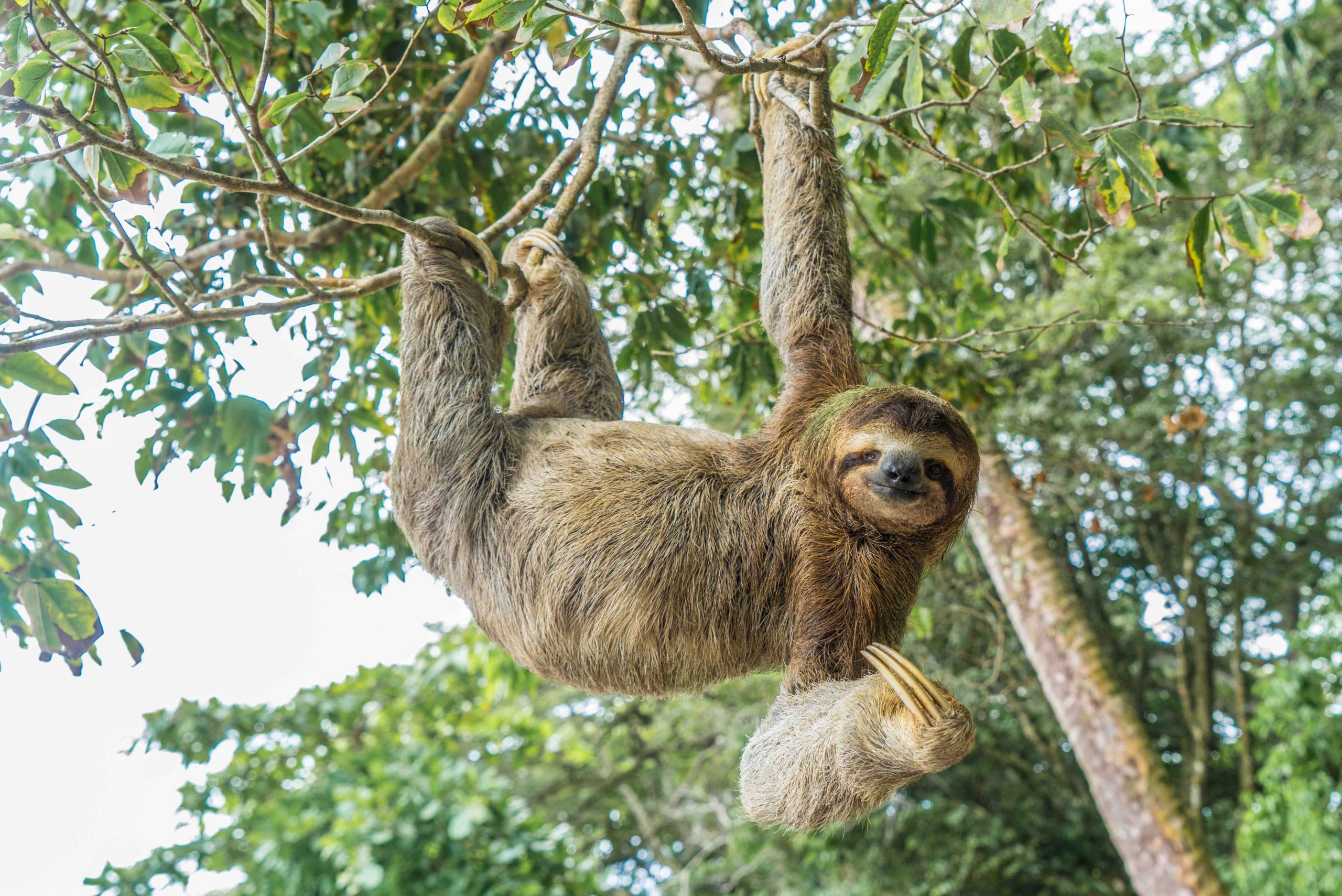 Costa Rica