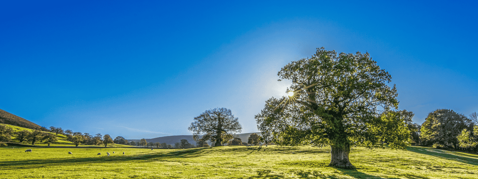 Top UK walking trails of the summer