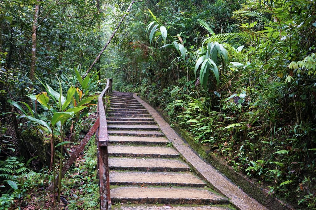 Day Five: Kinabalu National Park Day Five: Kinabalu National Park