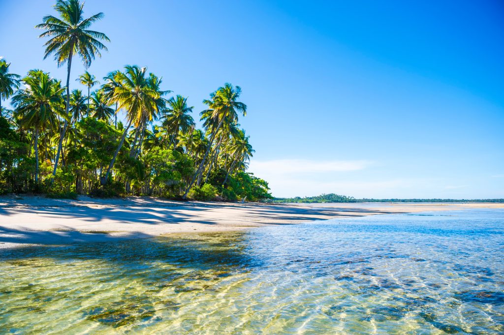 Beaches